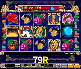 VIP Casino 79R